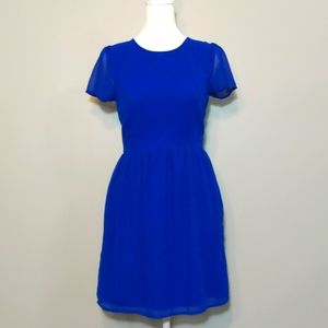 Electric Blue Dress by Delia's